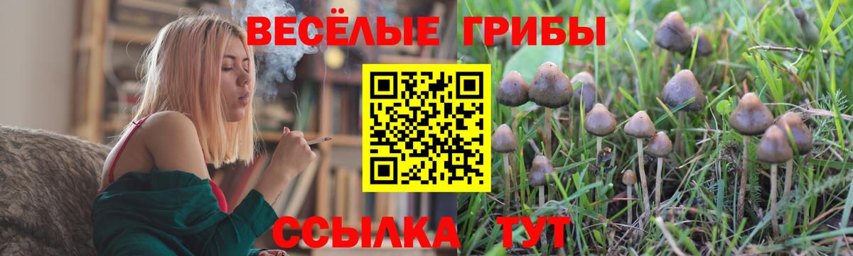 Псилоцибиновые грибы ЛСД Тамбов