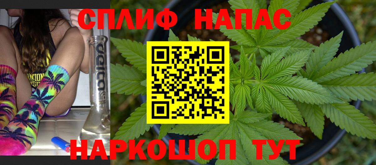 Каннабис OG Kush Тамбов